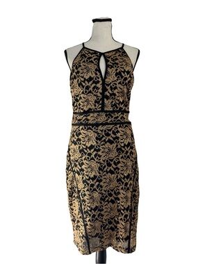 Candlelit Black Gold Lace Dress Size Medium NWT Cocktail Party Holiday Bodycon